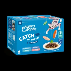 Catch Of The Day Selectie Vis in Saus 12x85g