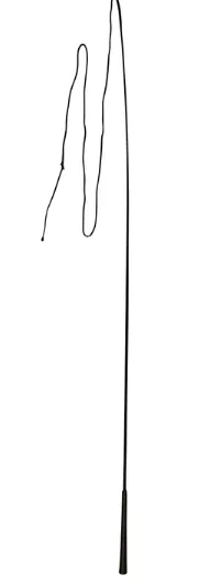 Longeerzweep eendelig 180 cm