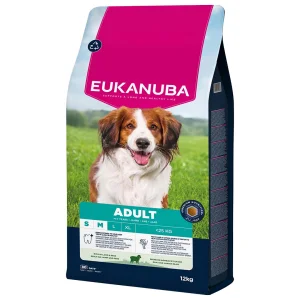 Eukanuba adult lamb&rice small-medium 12 kg