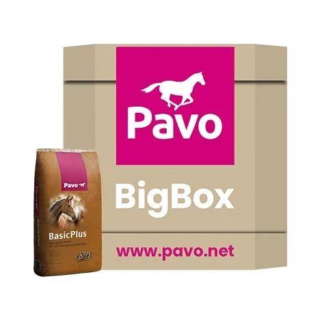 Pavo Basic+ Big Box 725