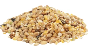 GRA-MIX Ardeens graan 20kg