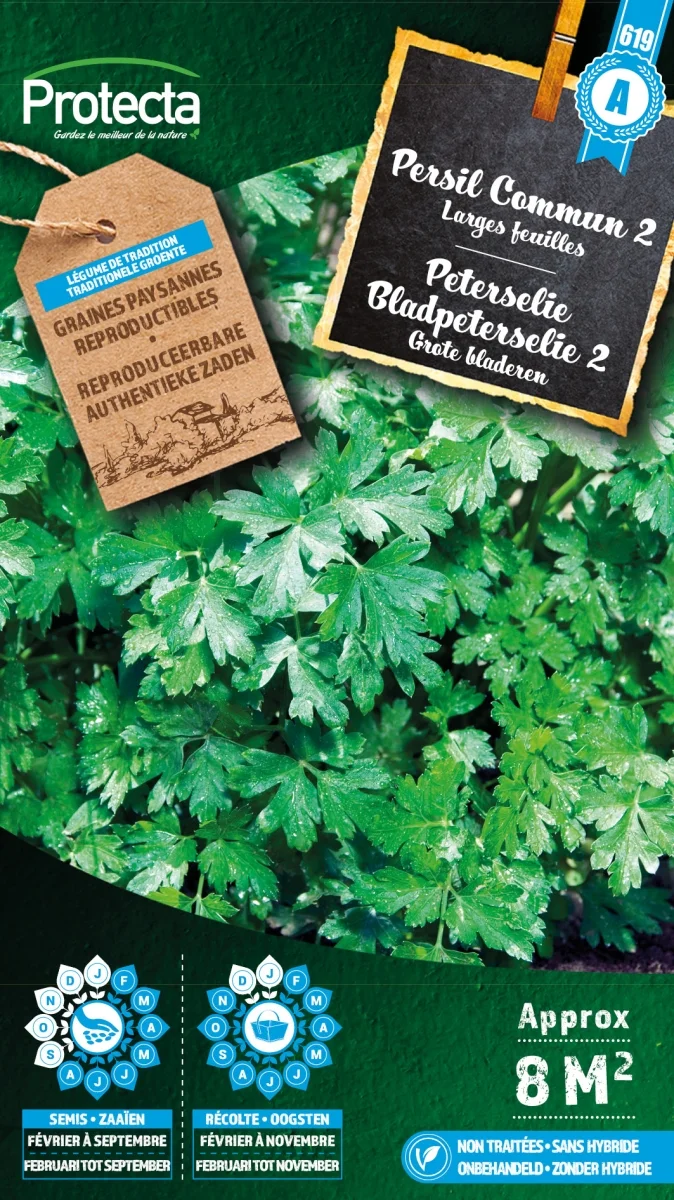 Peterselie Bladpeterselie 2