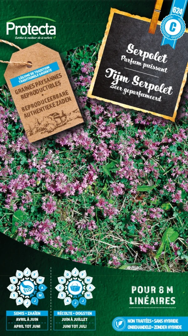 Tijm "Serpolet"
