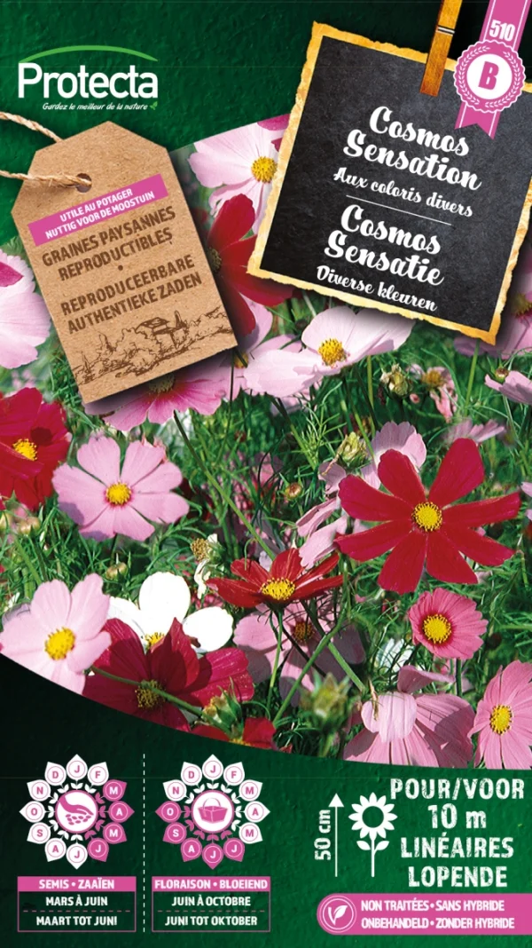 Cosmos Sensatie Gemengd