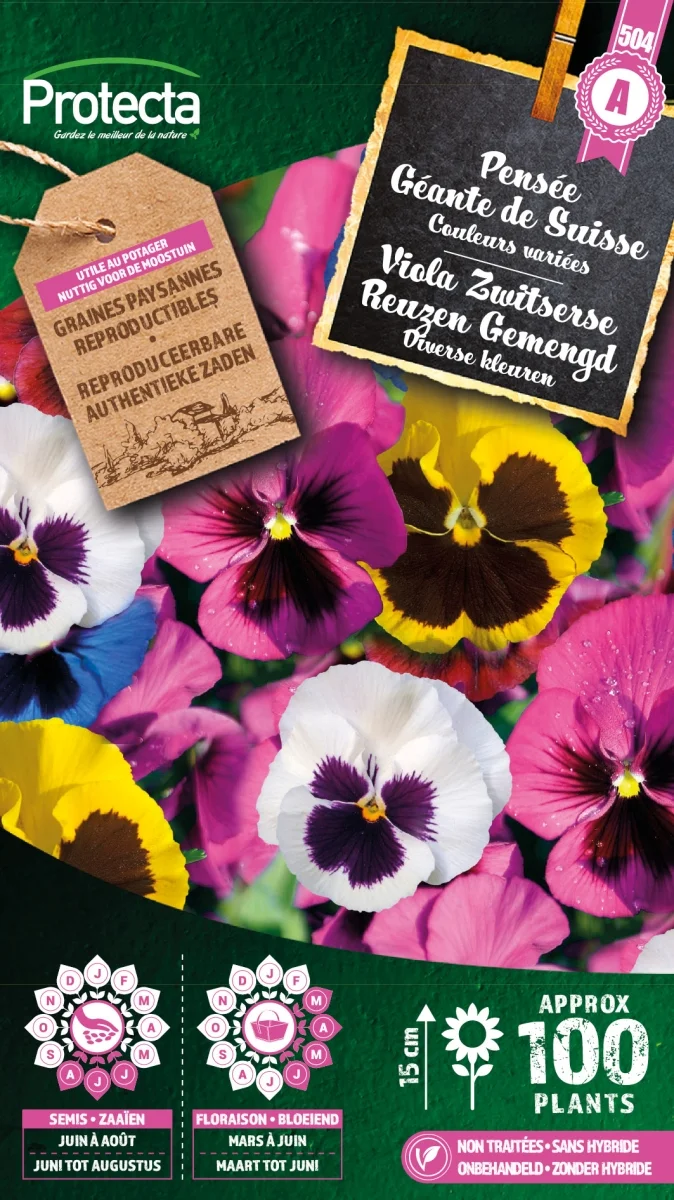 Viooltje Zwitserse Reuzen Gemengd