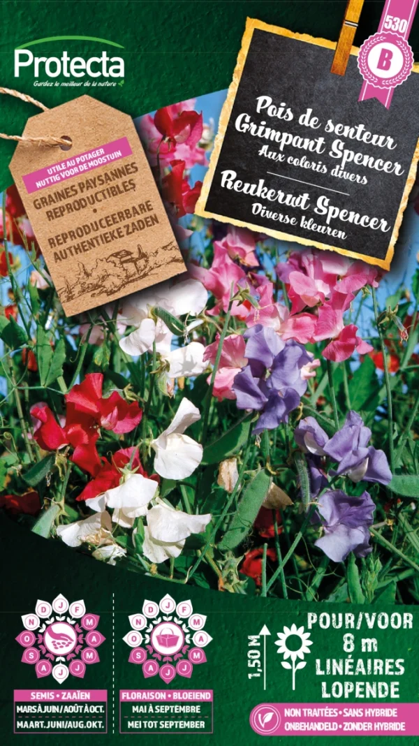 Reukerwt Spencer Gemengd