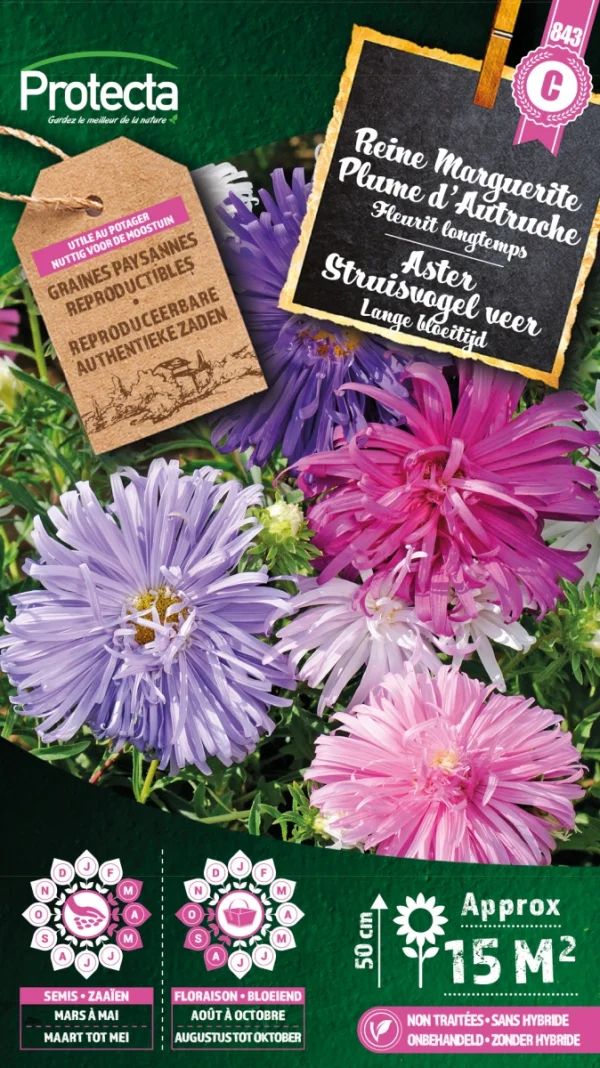 Aster Struisveder gemengd
