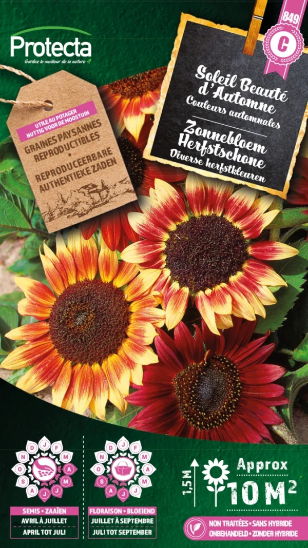 Zonnebloem Herfstschone