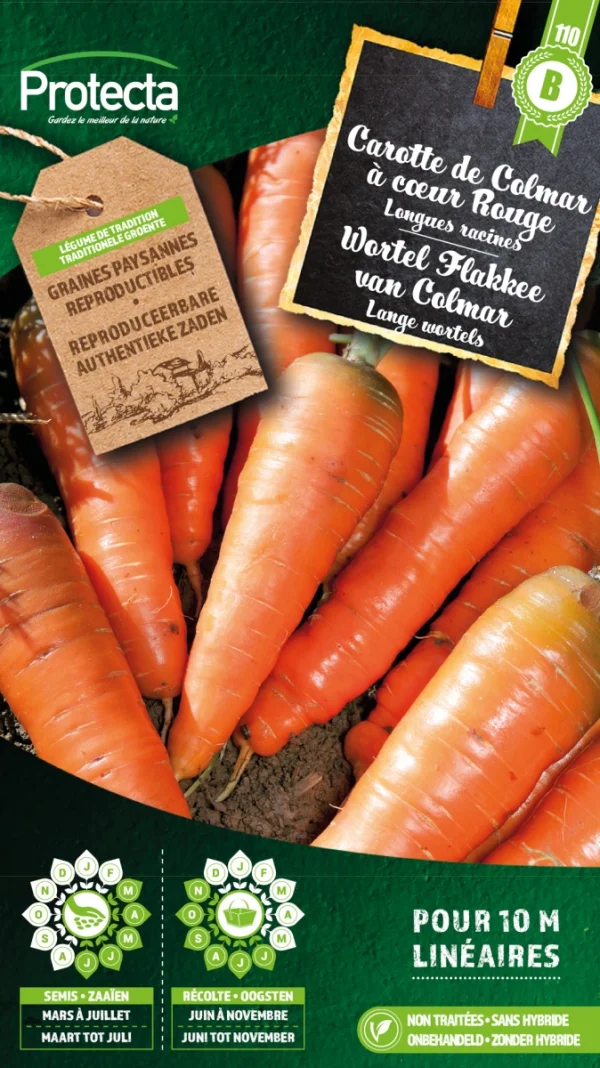 Wortel Flakkee van Colmar 