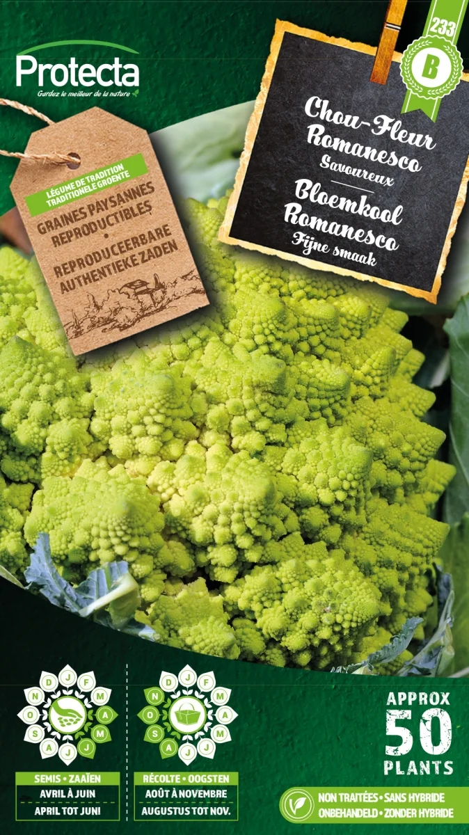 Bloemkool Romanesco
