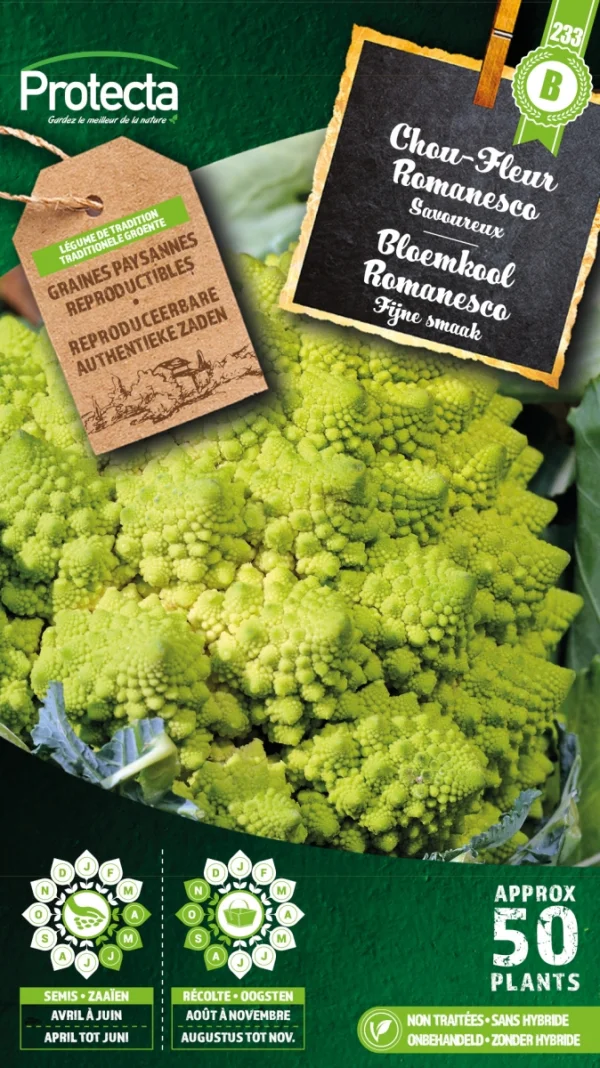 Bloemkool Romanesco
