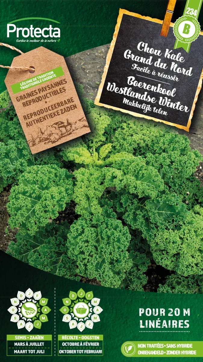 Boerenkool Westlandse Winter