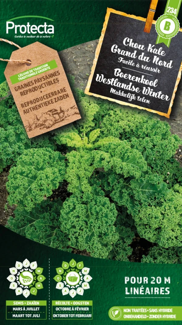 Boerenkool Westlandse Winter