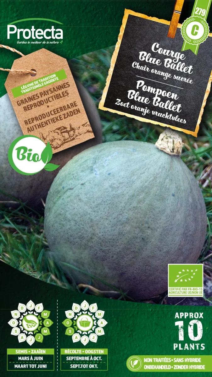 Pompoen Blue Ballet FR-BIO-15