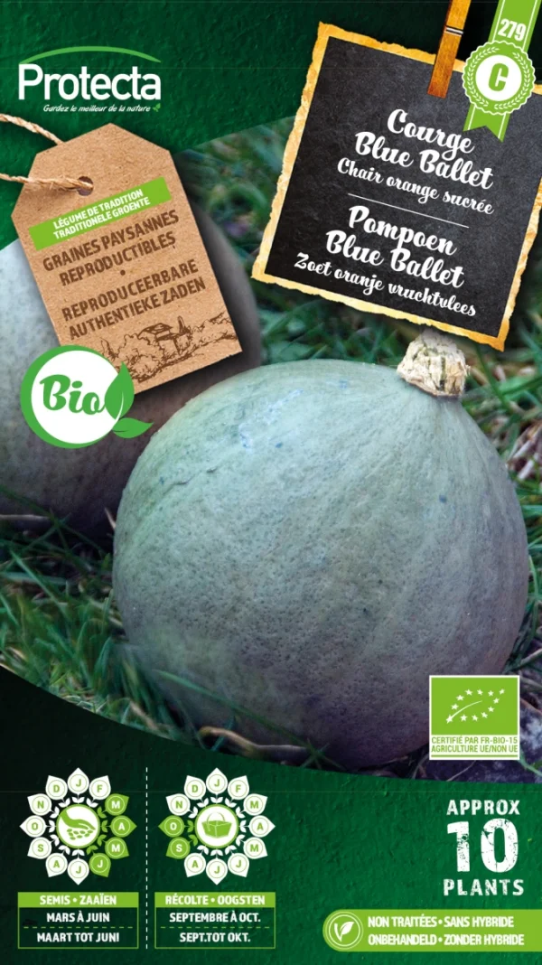 Pompoen Blue Ballet FR-BIO-15