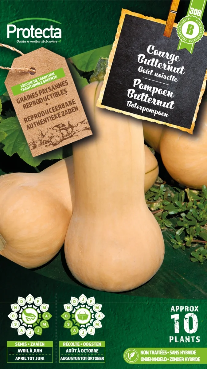 Pompoen Butternut