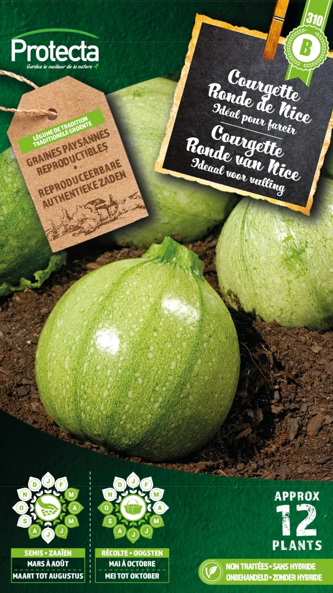 Courgette Ronde van Nice?