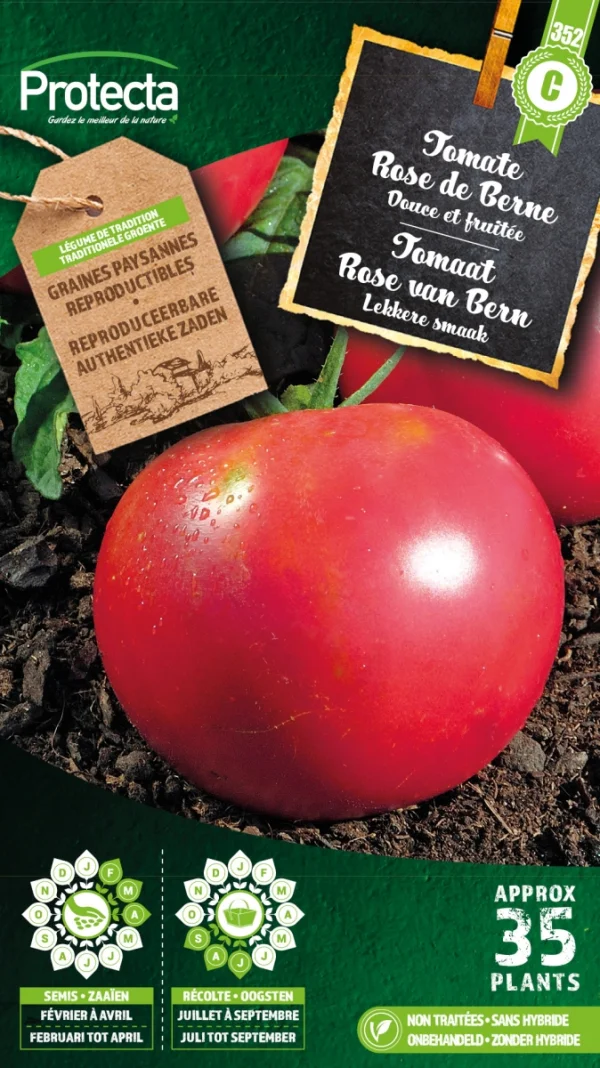 Tomaat "rose de Bern"