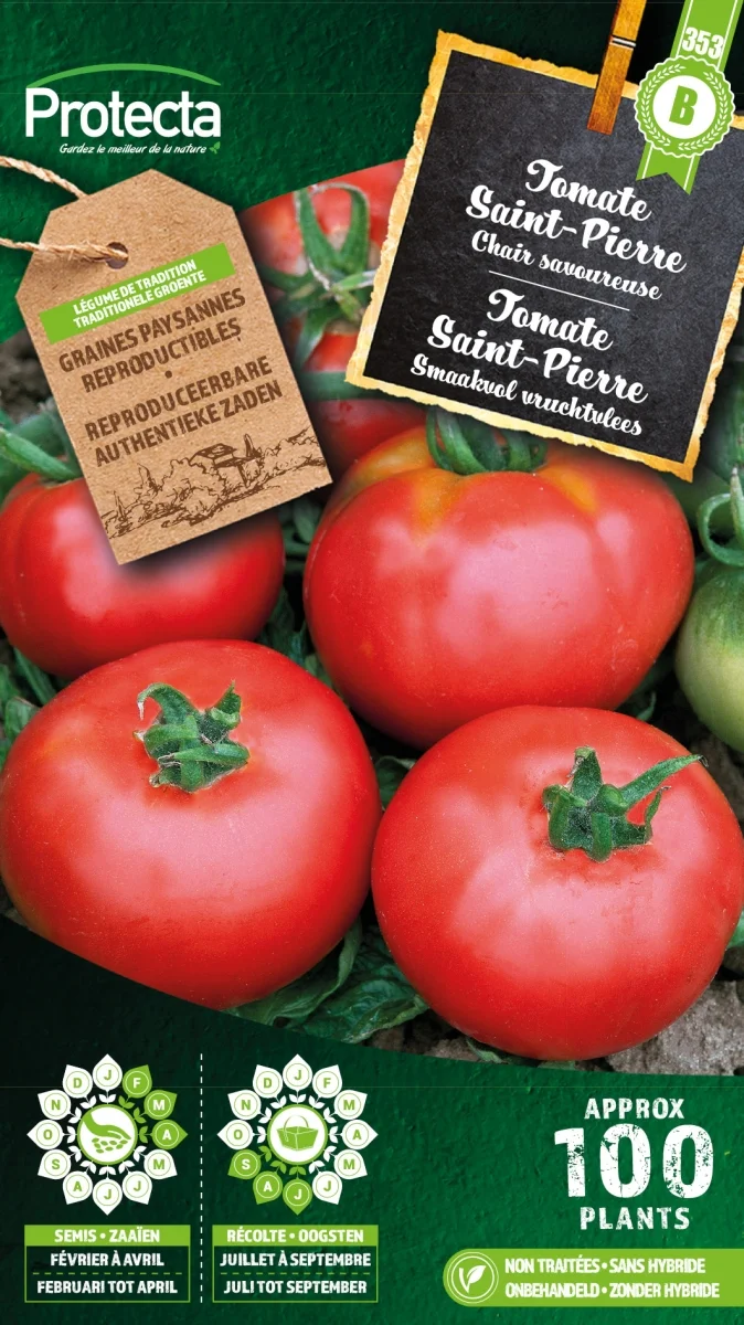 Tomaat Saint-Pierre Piersol