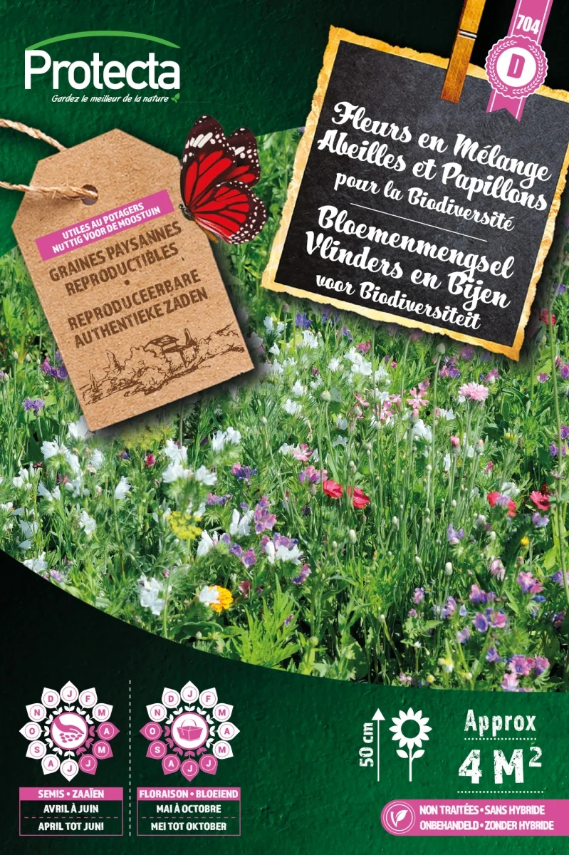 Bloemen voor vlinders en bijen 