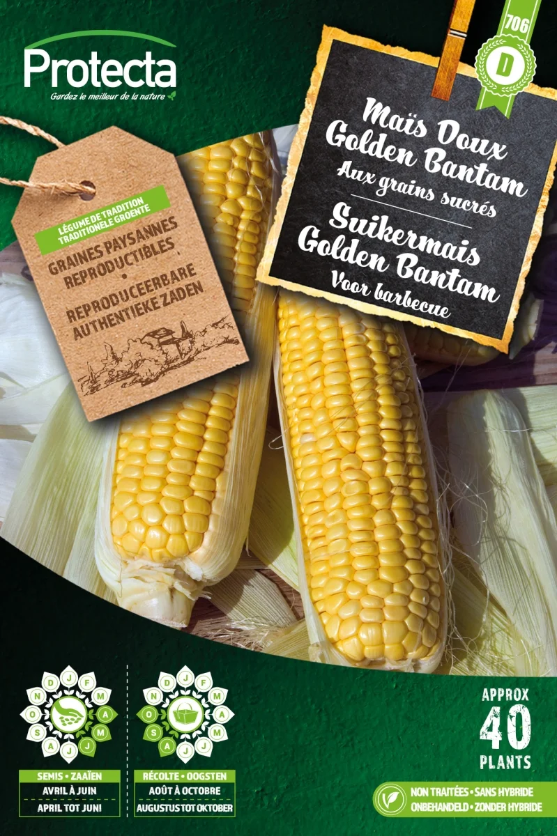 Suikermais Golden Bantam XXL