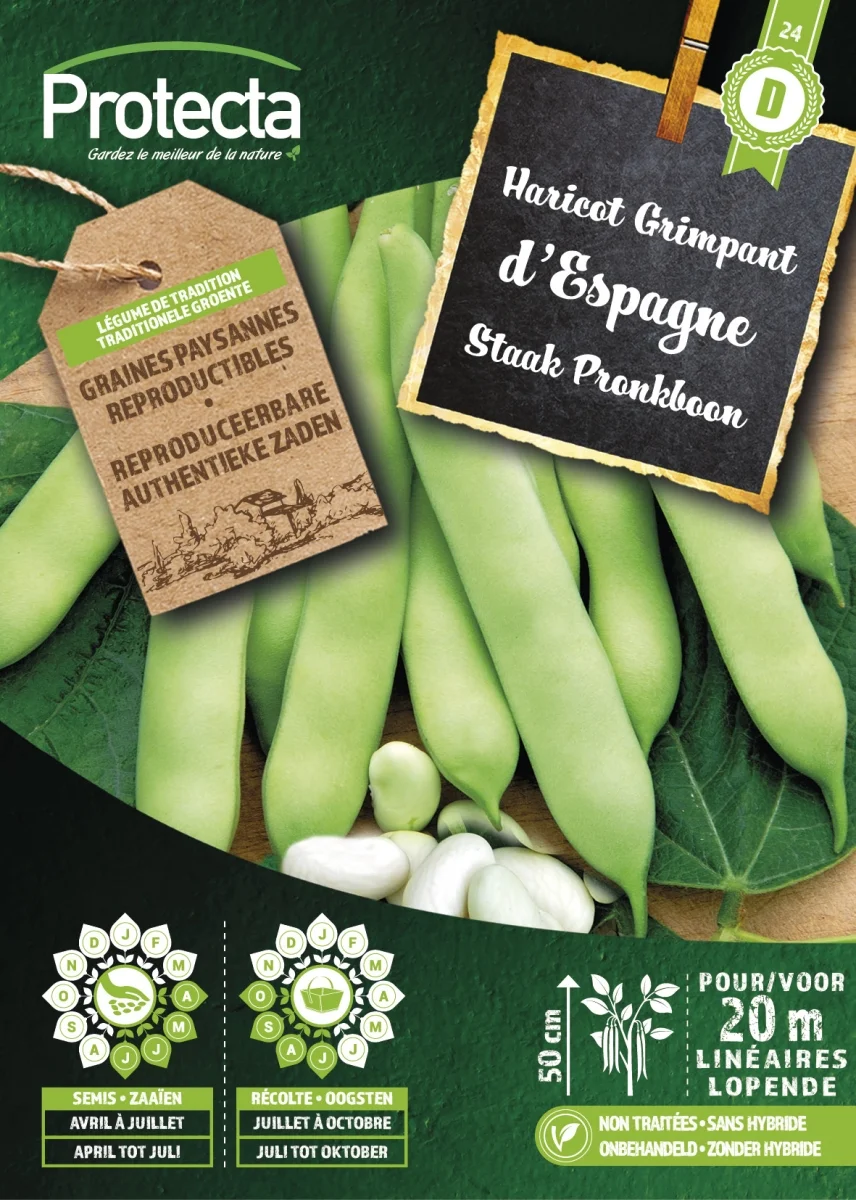 Staak Pronkboon D'ESPAGNE 