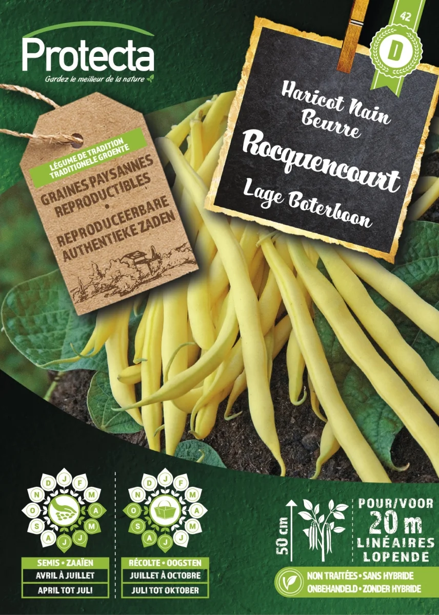 Stuikboon Geel ROCQUENCOURT