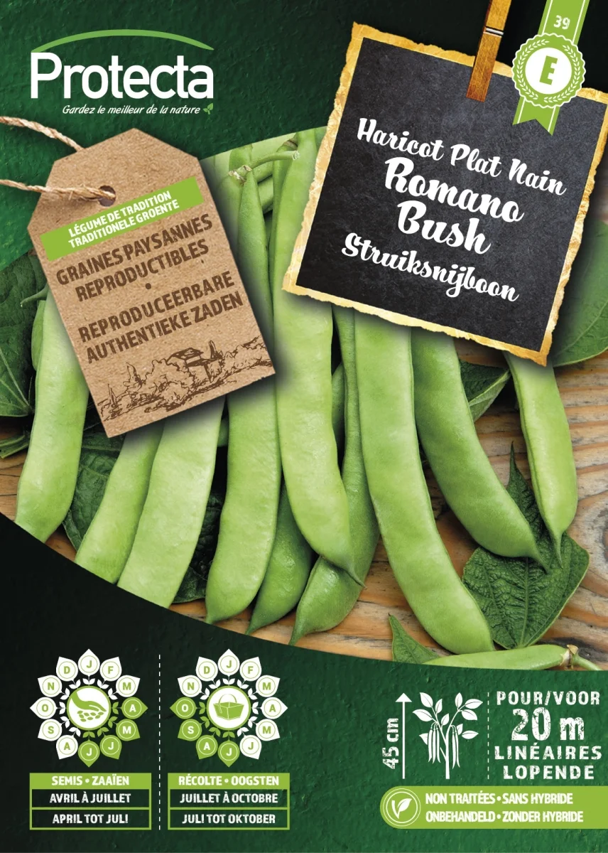 Struiksnijboon ROMANO BUSH