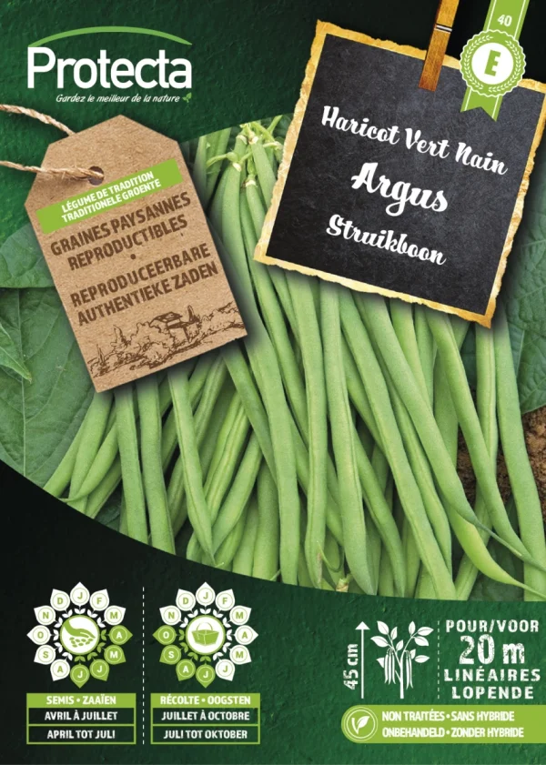 Struikboon Groen ARGUS