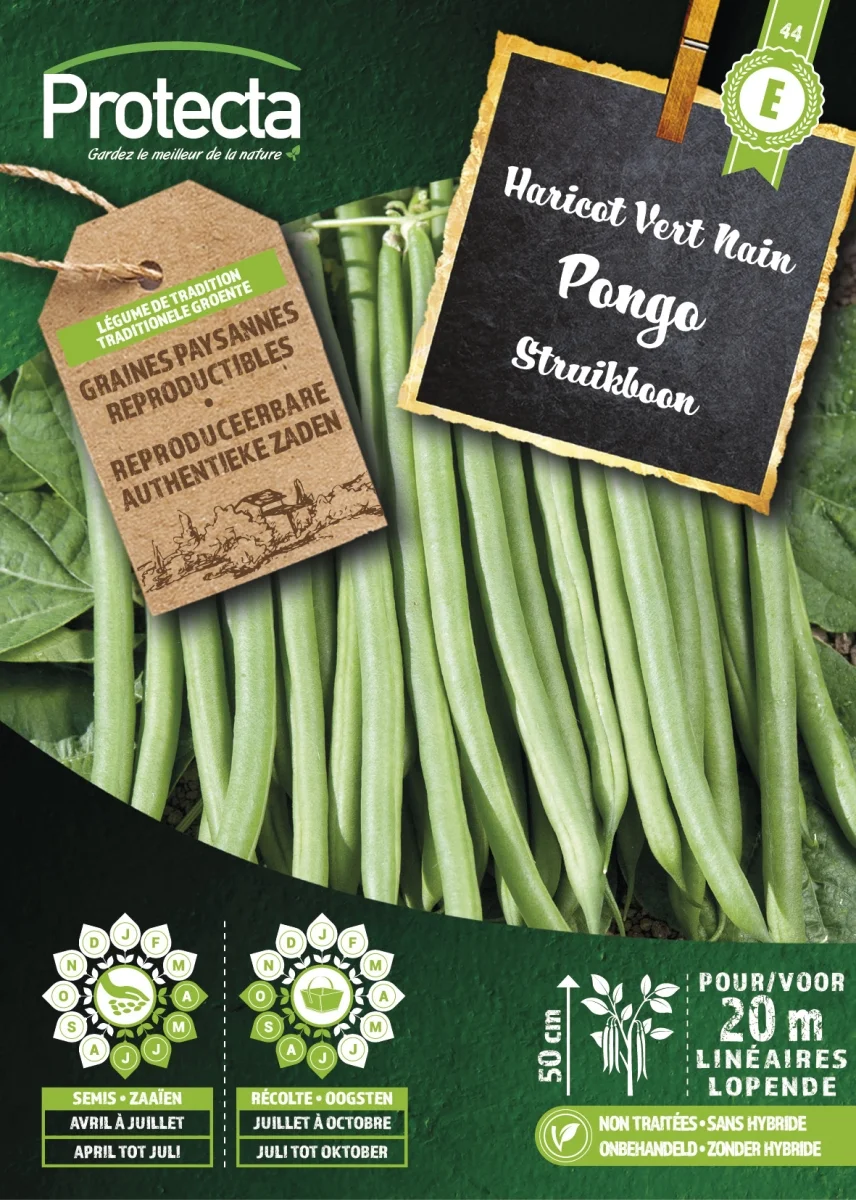 Struikboon Groen PONGO