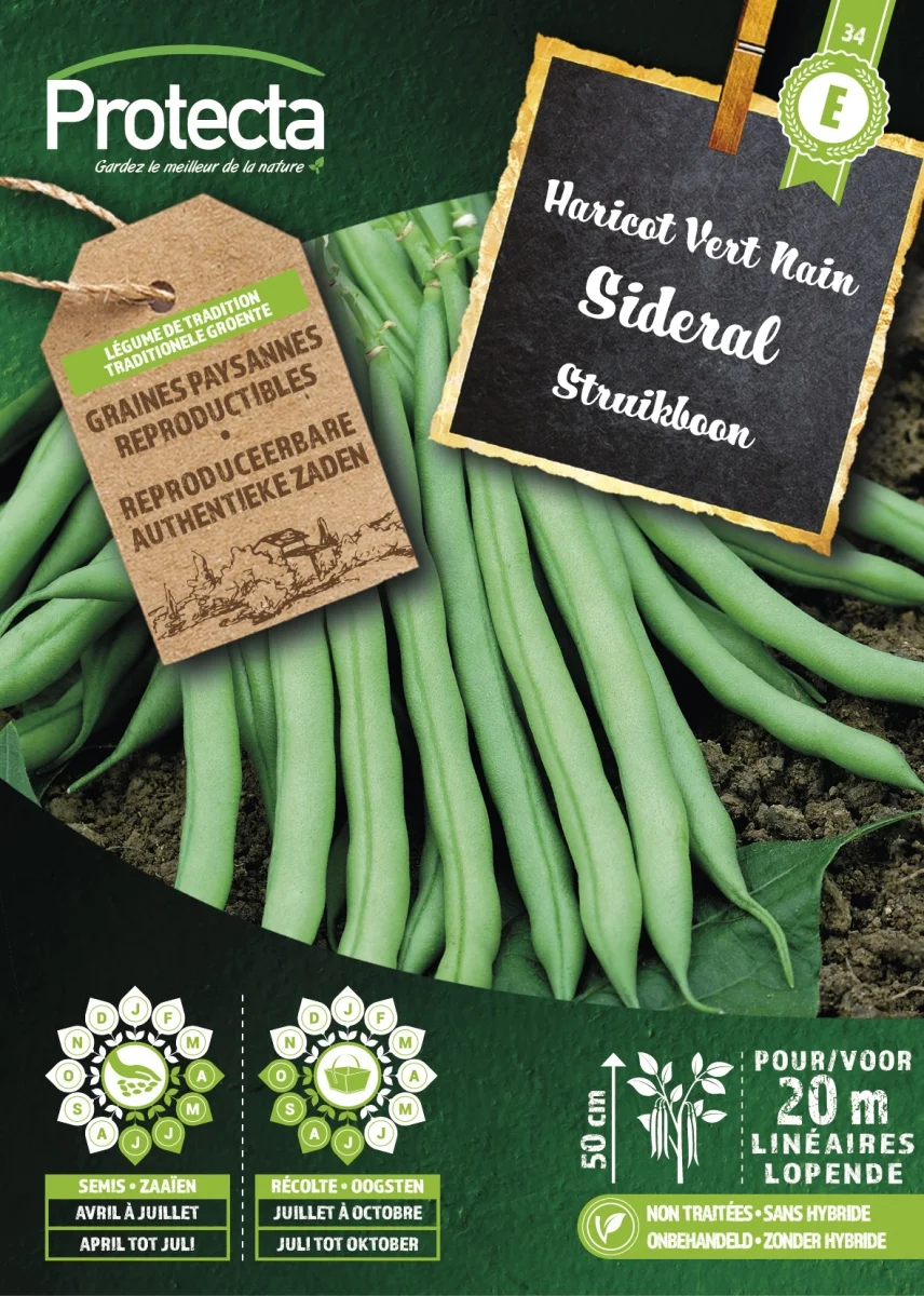 Struikboon Groen SIDERAL