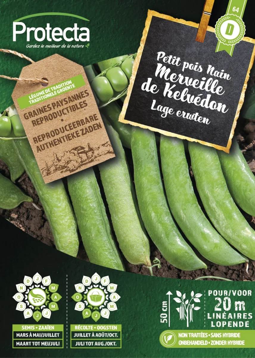 Lage doperwten gerimpeld Wonder van KELVEDON