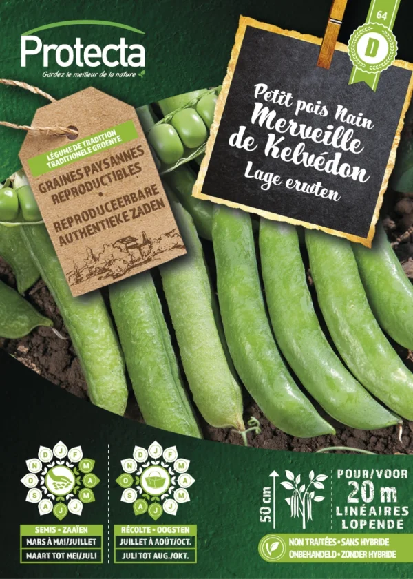 Lage doperwten gerimpeld Wonder van KELVEDON