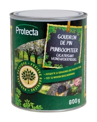 PIJNBOOMTEER VAN DE LANDES 800g
