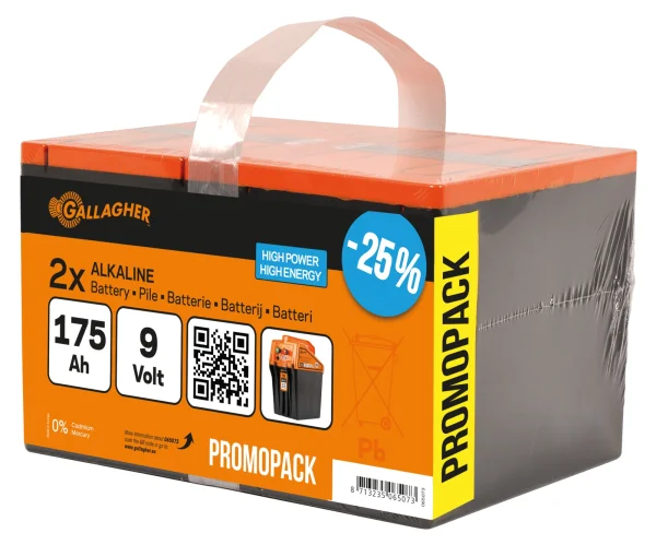Duopack Alkaline batterij 2x 9V/175Ah - 190x125x160mm