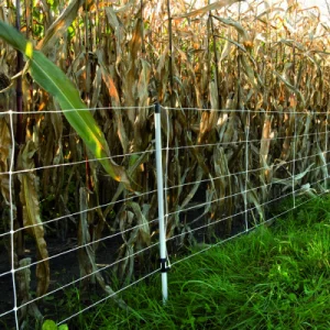 Wildzwijnennet, Wit 75/1-14/W-50m