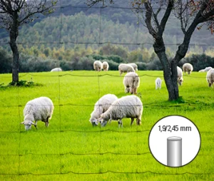 Schapengaas licht verz. 120/10/15 x 50m