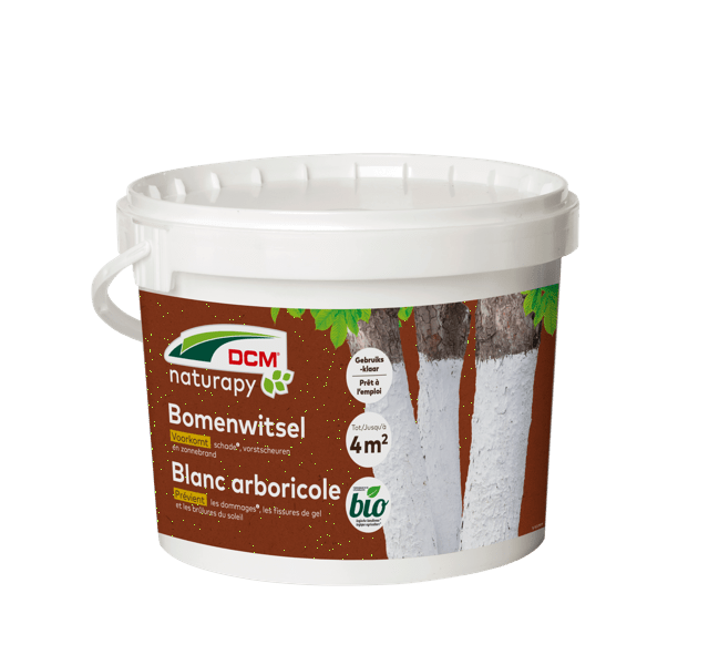 DCM TREE-SHIELD - BOMENWITSEL SMEERB 3L/4KG
