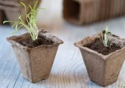 Floraworld Turfpotjes 4x4cm 3 platen van 12 potjes