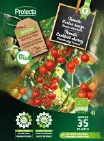 Tomate Cocktail Cherry FR-BIO-15